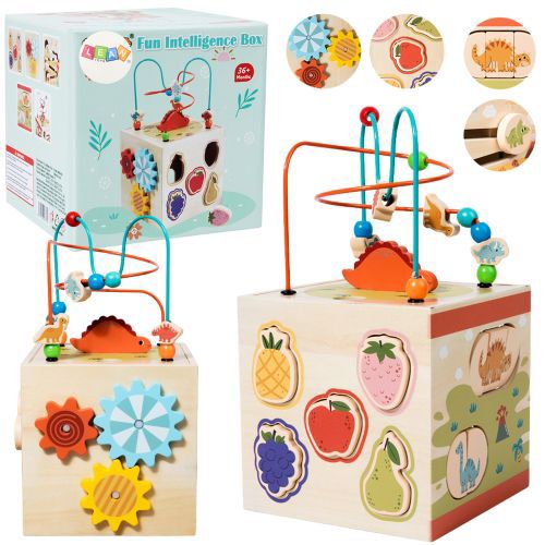 Cub Multifuncțional 5-în-1 din Lemn - Fun Intelligence Box